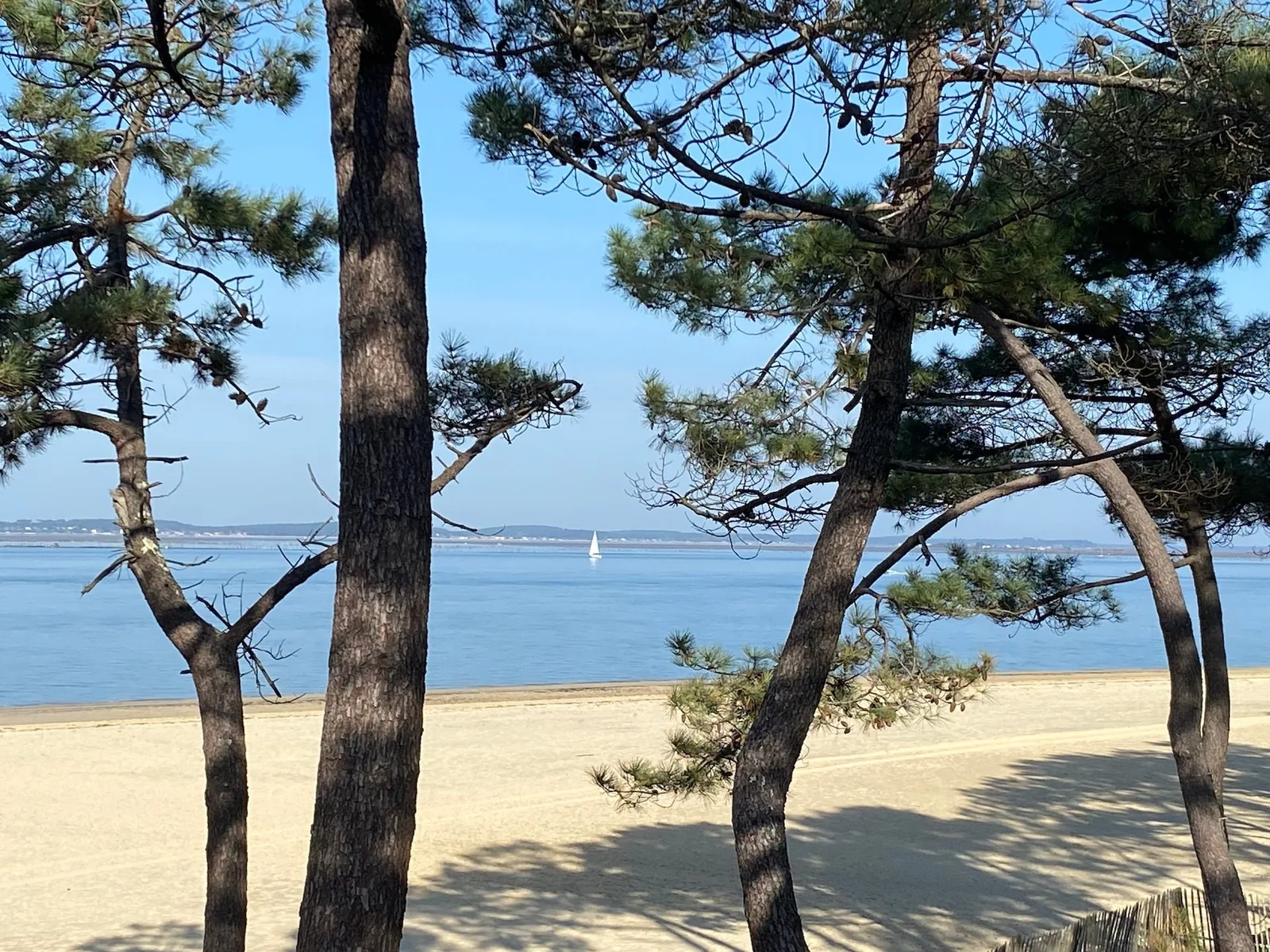Le Bassin d’Arcachon avec un voilier